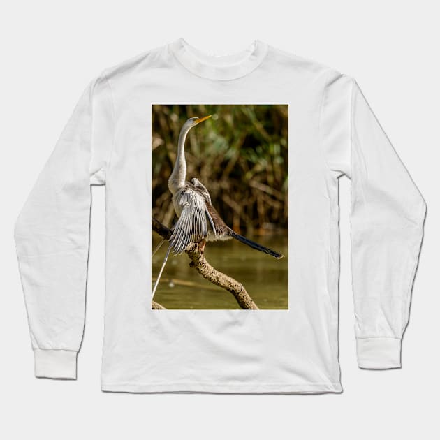 Darter 01 Long Sleeve T-Shirt by fotoWerner